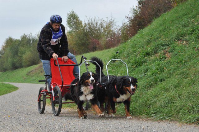 Rennen Weinfelden